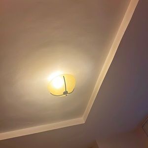 Meet your Posher, Ariuna